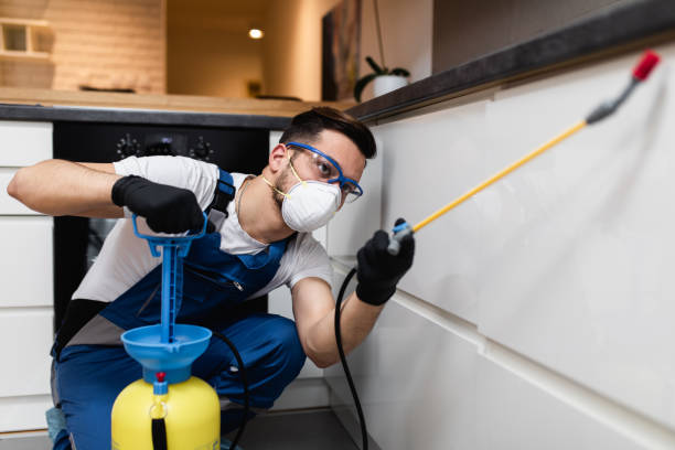 Best Affordable Pest Control Services  in Centerville, GA