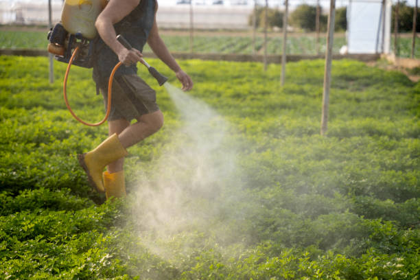 Best Mosquito Control Services  in Centerville, GA