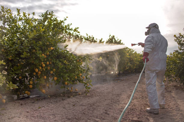 Best Local Pest Control Services  in Centerville, GA