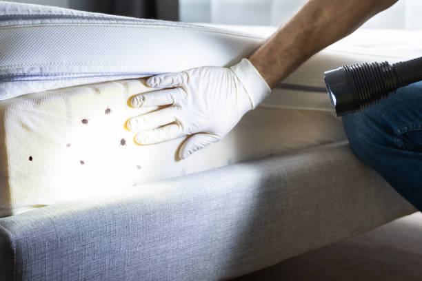 Best Rat Extermination Near Me  in Centerville, GA