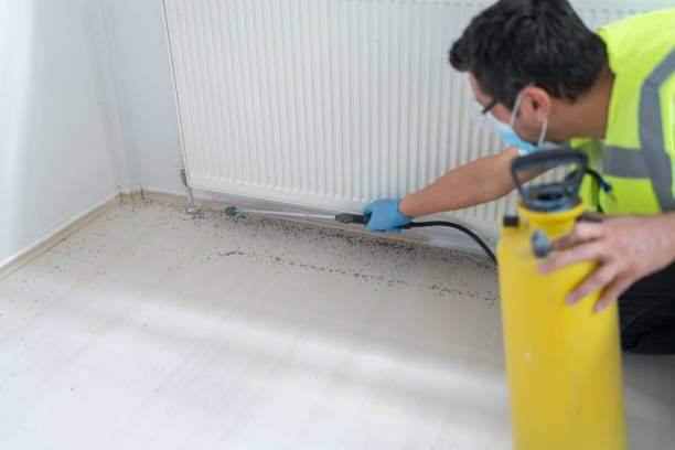 Best Pest Control Cost  in Centerville, GA