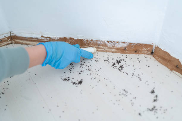 Pest Control Cost in Centerville, GA